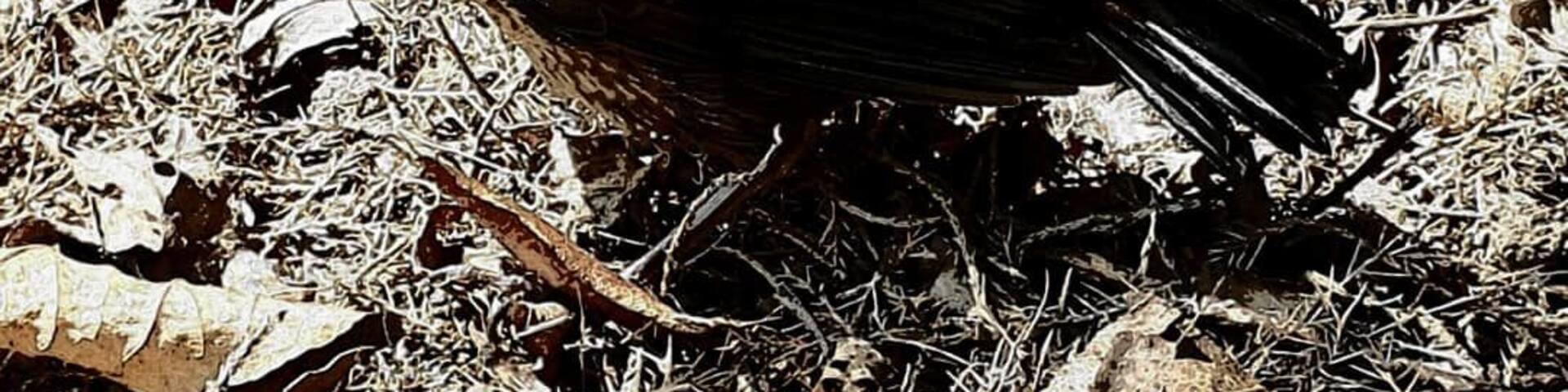 Being close to the nature and sens of freedom is what I love about countryside the most. I'm blessed to have this at the reach of my hand or rather my camera😉