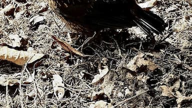 Being close to the nature and sens of freedom is what I love about countryside the most. I'm blessed to have this at the reach of my hand or rather my camera😉