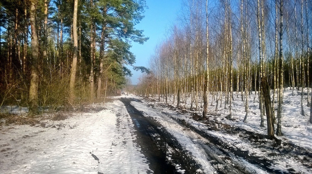 Gmina Mieszkowice, Poland