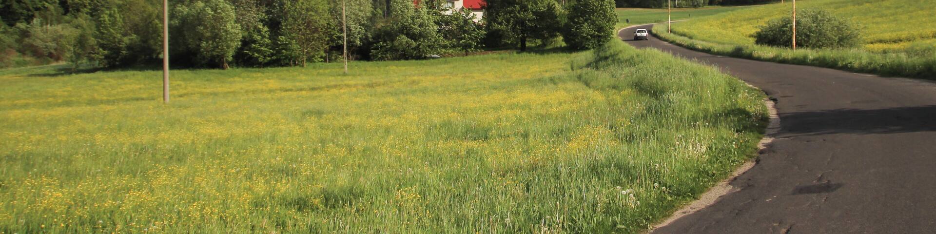 Wyręba – wieś w Polsce, w województwie dolnośląskim, w powiecie lubańskim, w gminie Siekierczyn.