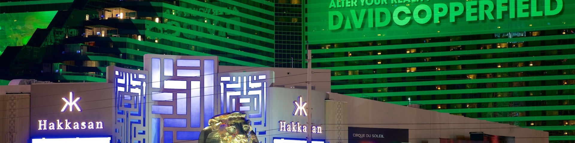 MGM Grand Casino featuring signage