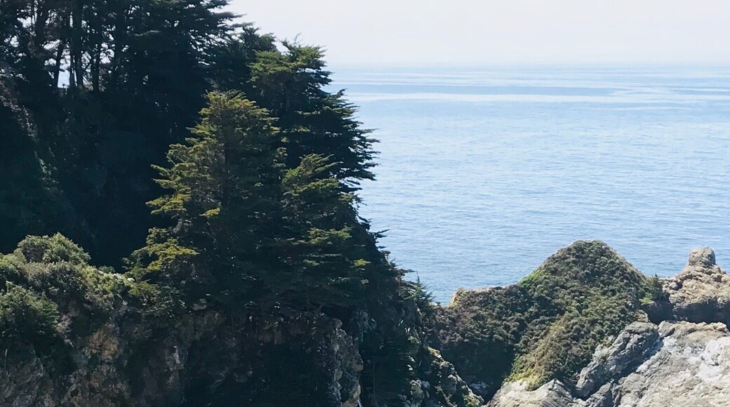Highway 1 through Big Sur. The sun wasnât the best so itâs hard to see the falls (go after 3pm). But itâs there! 4/4.