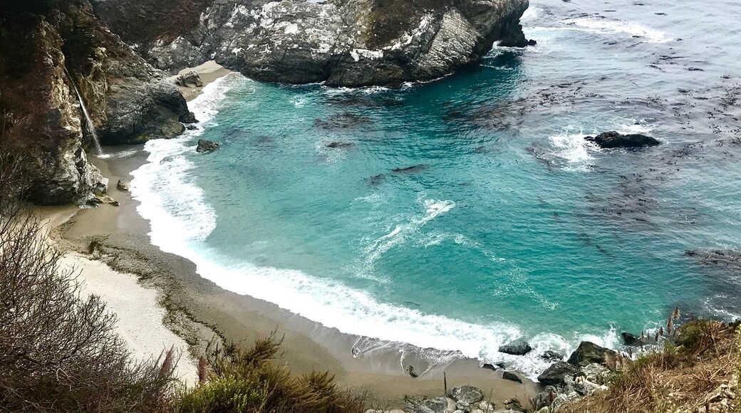 One of the most beautiful view on US route 1😍..if you ever visit bigsur make sure you to hike as many trails as possible😃..im sure you wouldn't be disappointed 😉