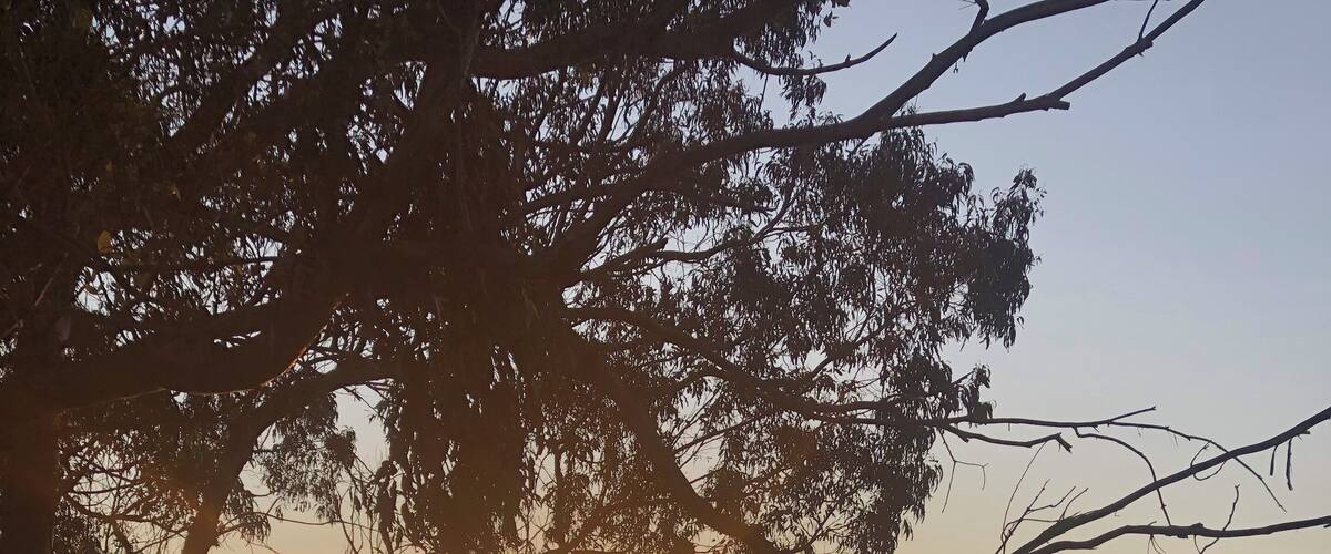 It’s hard to beat the view of a sunset #adventure