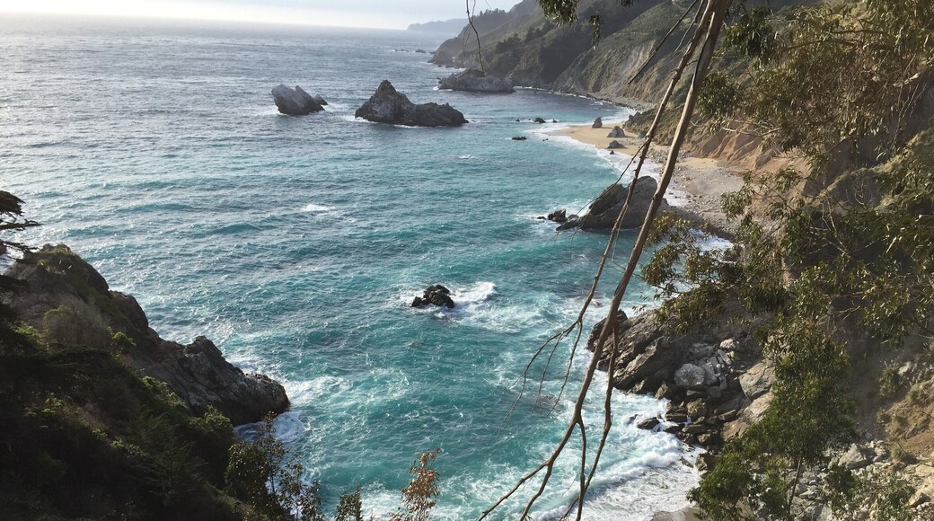 McWay Beach in Big Sur is a picturesque beach in a small cove. A waterfall of the same name is the big attraction here, although it can't be seen in this picture. #LifeAtExpedia
