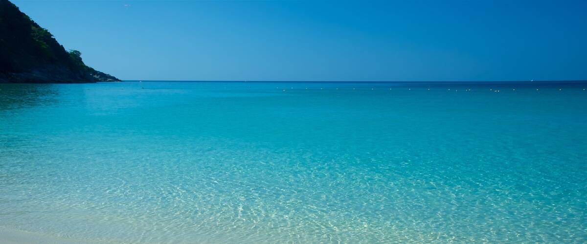 Freedom Beach featuring general coastal views, a sandy beach and tropical scenes