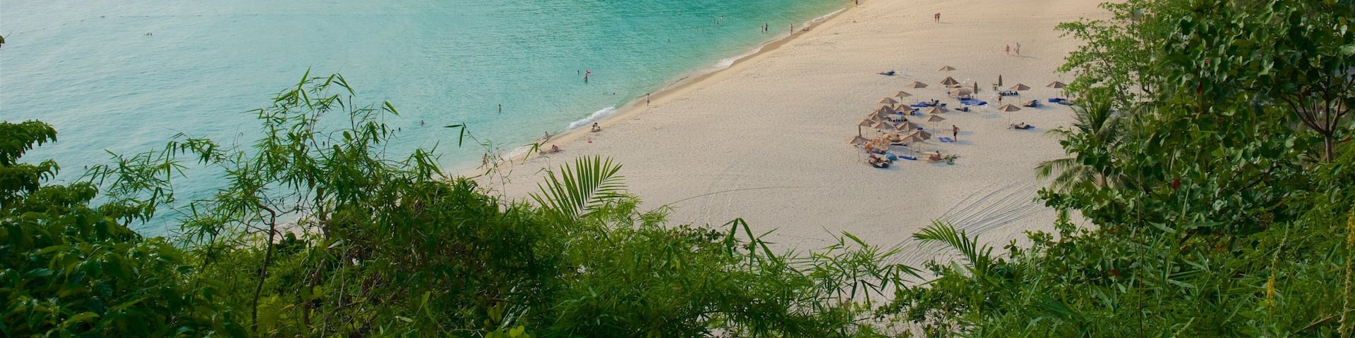 Phuket - Phang Nga showing a bay or harbor, rainforest and a beach