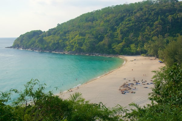 Phuket - Phang Nga showing a bay or harbor, rainforest and a beach