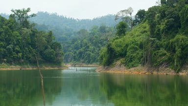 Islands in Banding Lake, part of Royal Belum rainforest