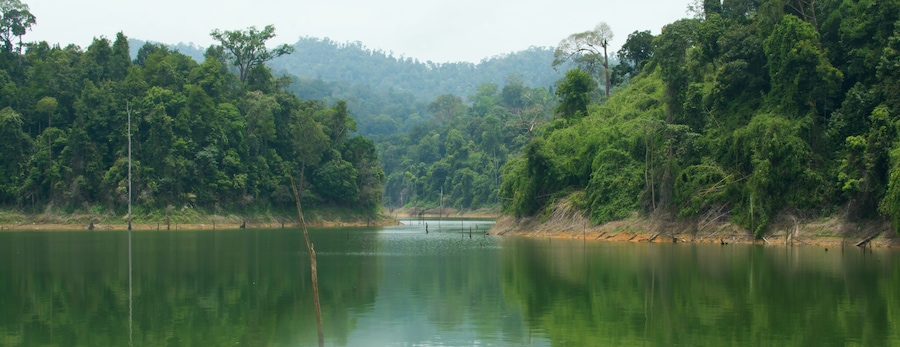 Islands in Banding Lake, part of Royal Belum rainforest