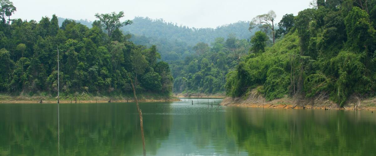 A calm river surrounded by dense forest and hills.