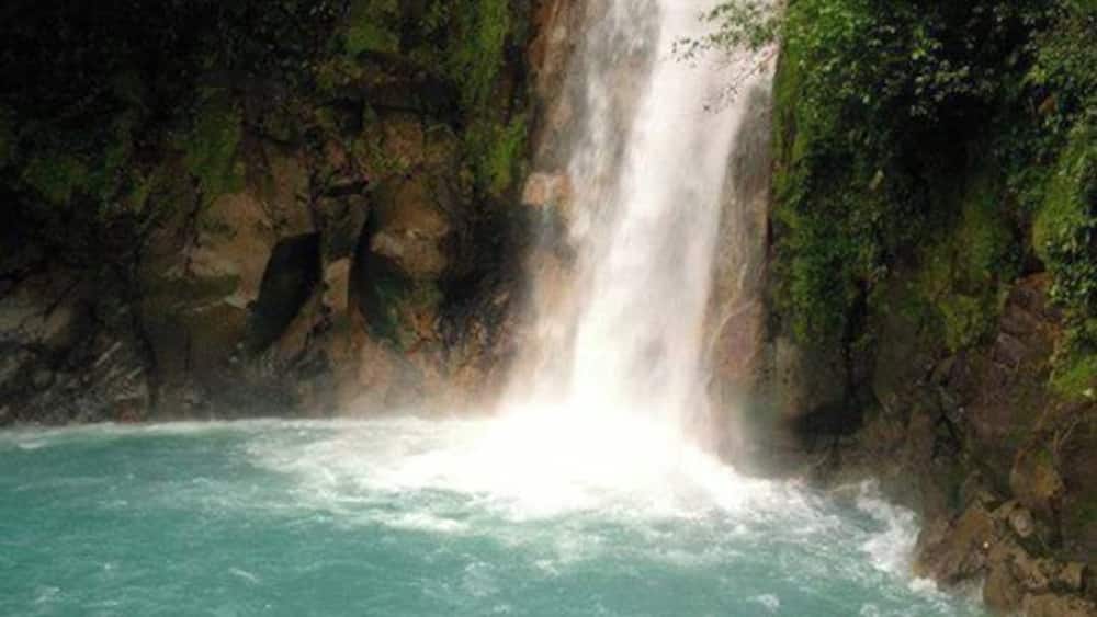 Une cascade se jetant dans une piscine aux eaux turquoise, le tout entouré d’une végétation luxuriante.