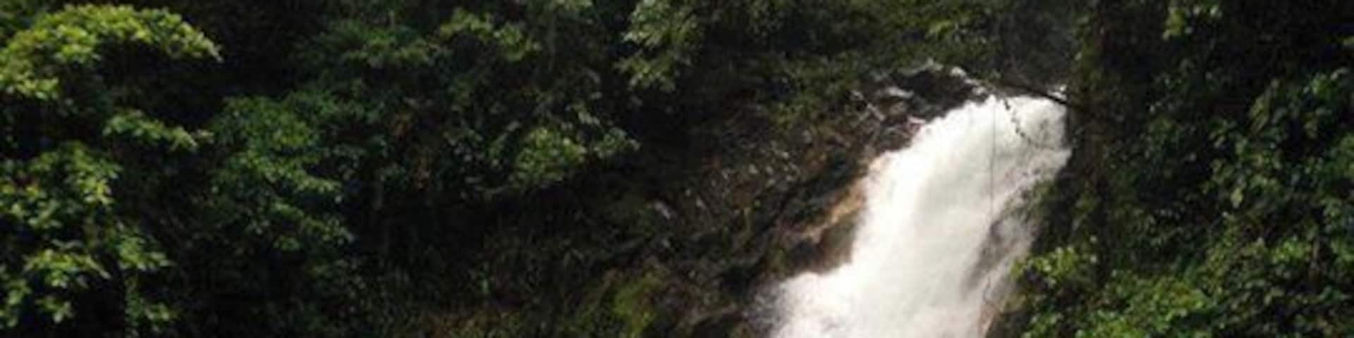 A waterfall cascading into a turquoise pool surrounded by lush greenery.