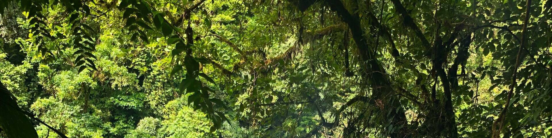 Look đđŸ at đđŸ this đđŸ view. About 2 hours into the jungle and this is where you end up. #adventure