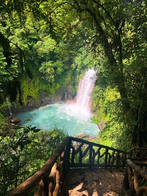 Look 👏🏾 at 👏🏾 this 👏🏾 view. About 2 hours into the jungle and this is where you end up. #adventure
