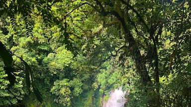Look 👏🏾 at 👏🏾 this 👏🏾 view. About 2 hours into the jungle and this is where you end up. #adventure