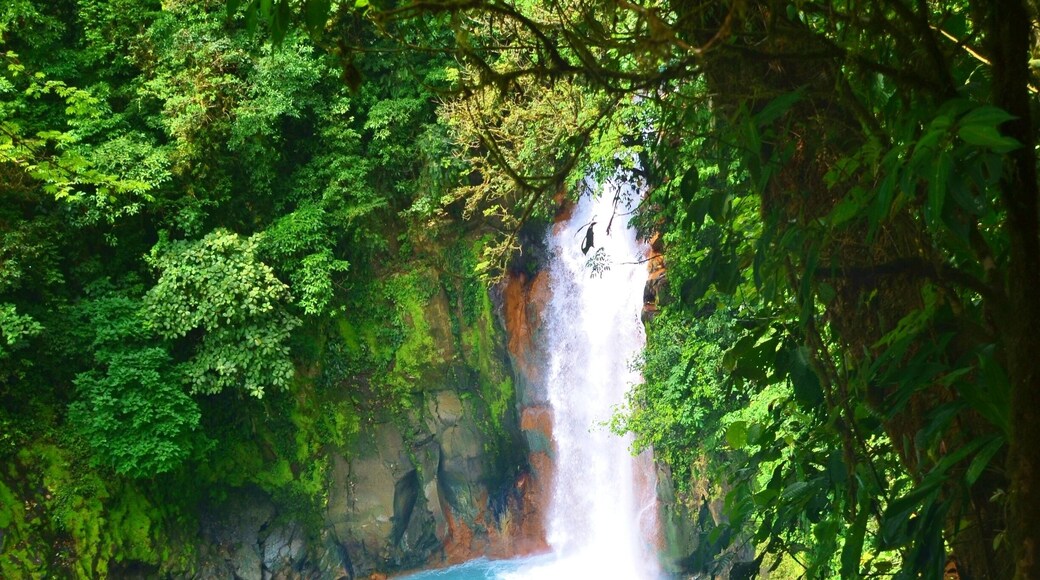 That water color? Totally real! No filter used on it! This waterfall is like something out of a fairy tale!