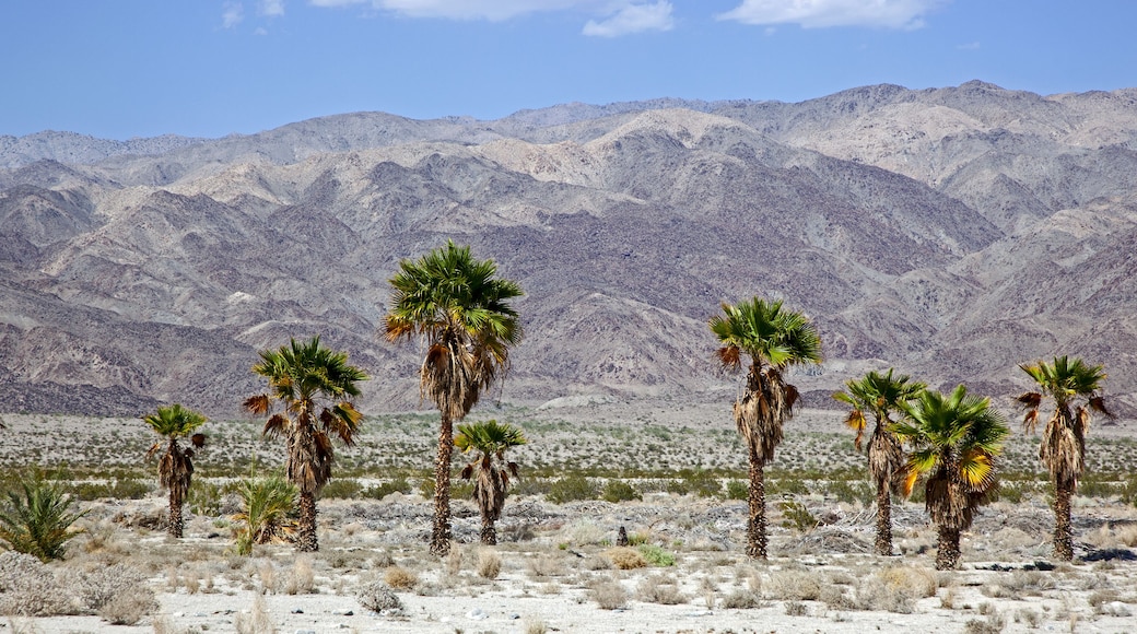 Harsh desert and landscape of the Indio Hills; Shutterstock ID 136779524