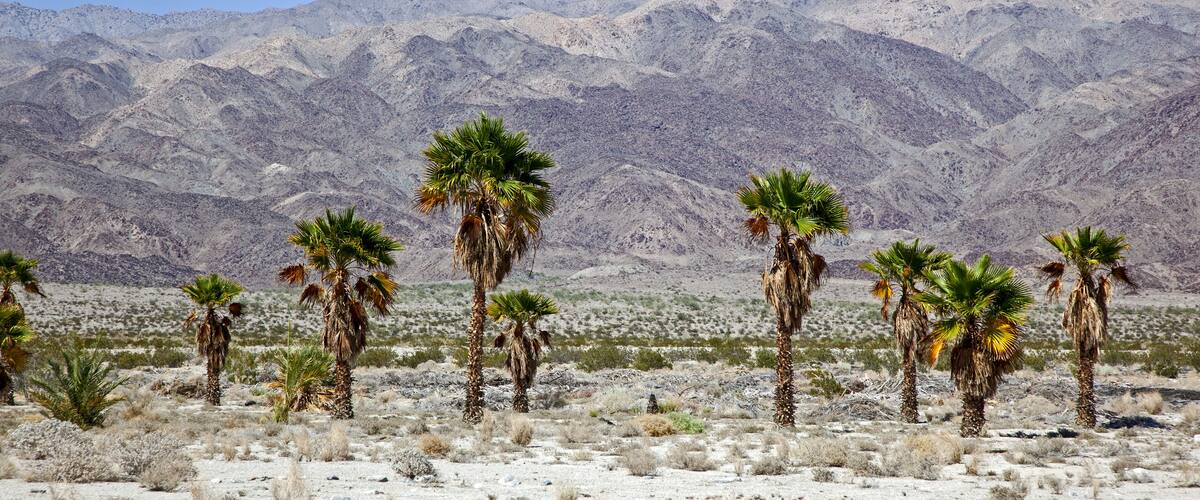 Harsh desert and landscape of the Indio Hills; Shutterstock ID 136779524