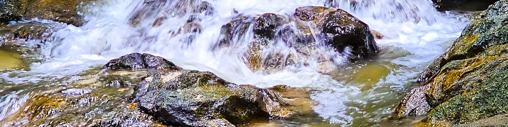 A rocky stream with flowing water.
