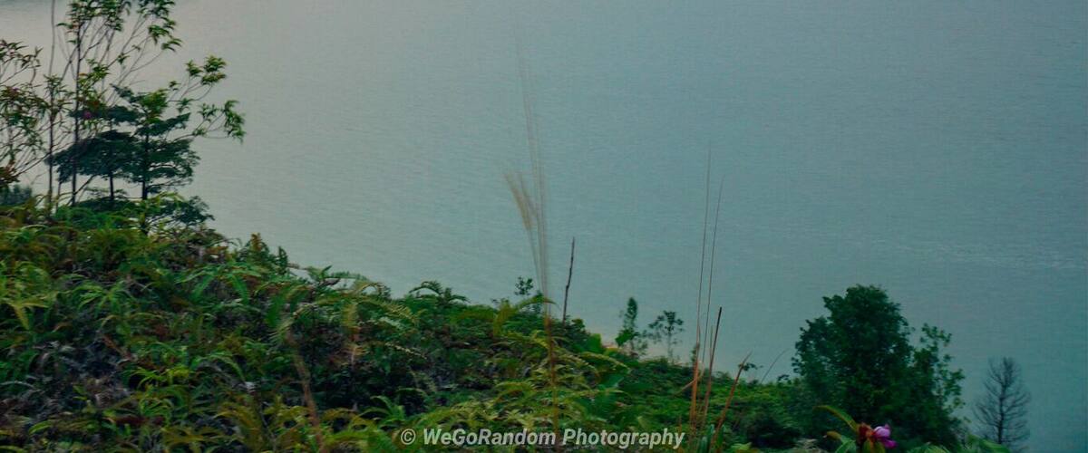 Just a relaxing environment.