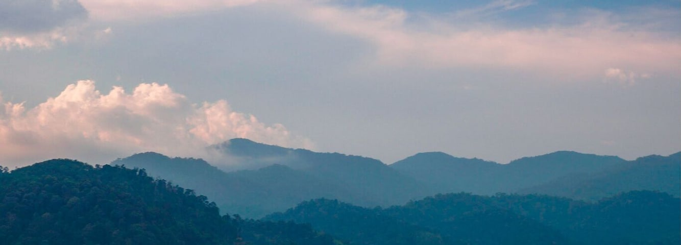 Just a relaxing environment.