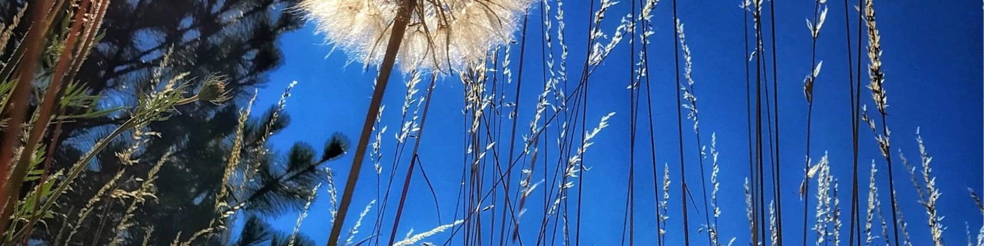 Taking a look from a different perspective. #Troveontuesday.