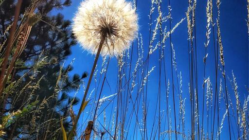 Taking a look from a different perspective. #Troveontuesday.