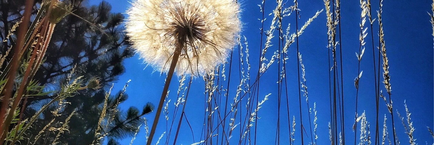 Taking a look from a different perspective. #Troveontuesday.