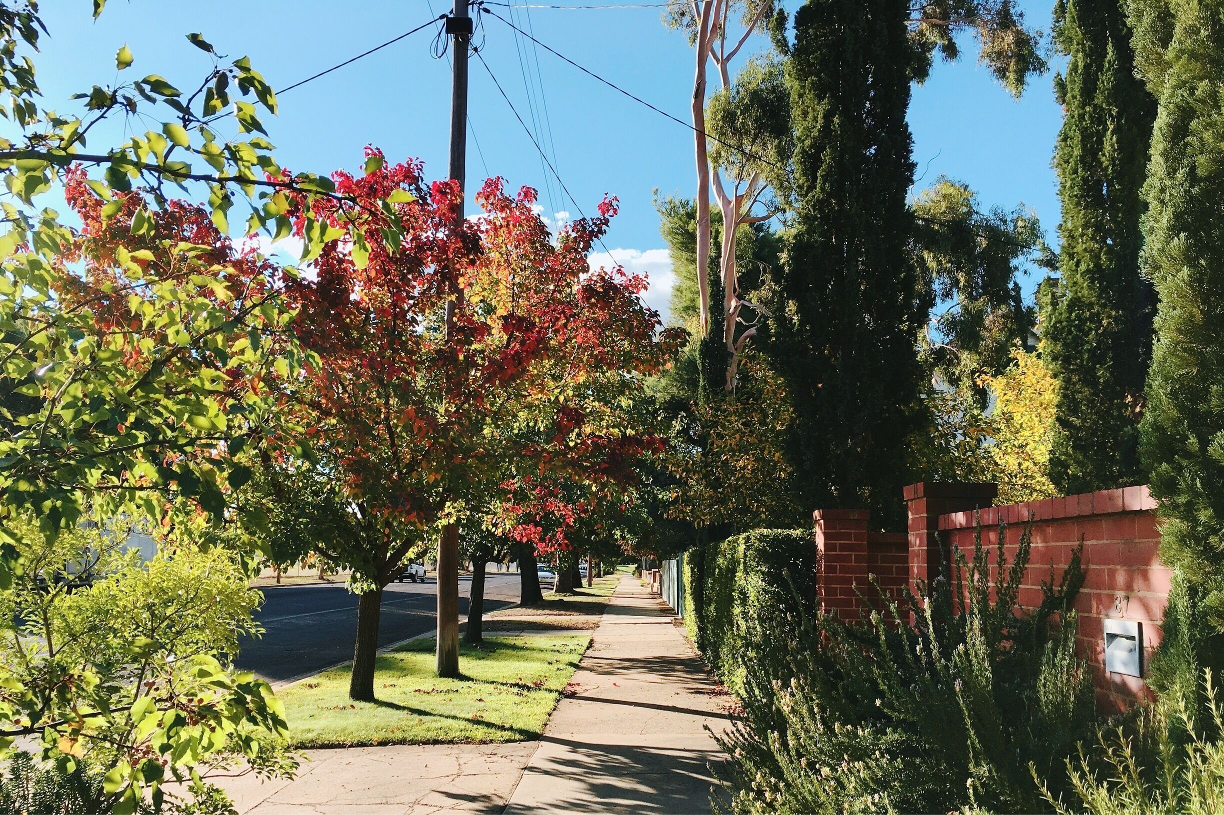 Scan what I saw! 📸
What a beautiful day 
#Australia
#WaggaWagga
#DorisInAustraliaTrip