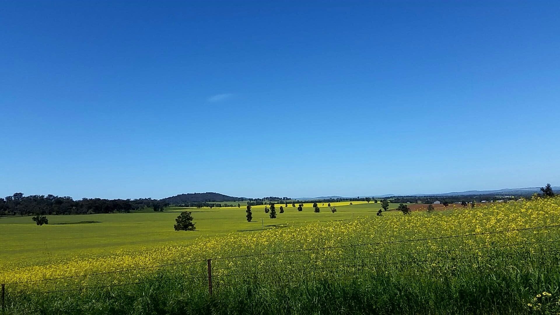 Conseil Municipal de Wagga Wagga