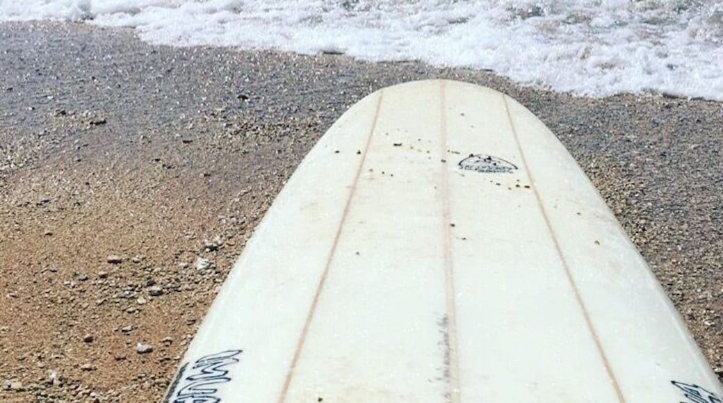 Surf sesh!