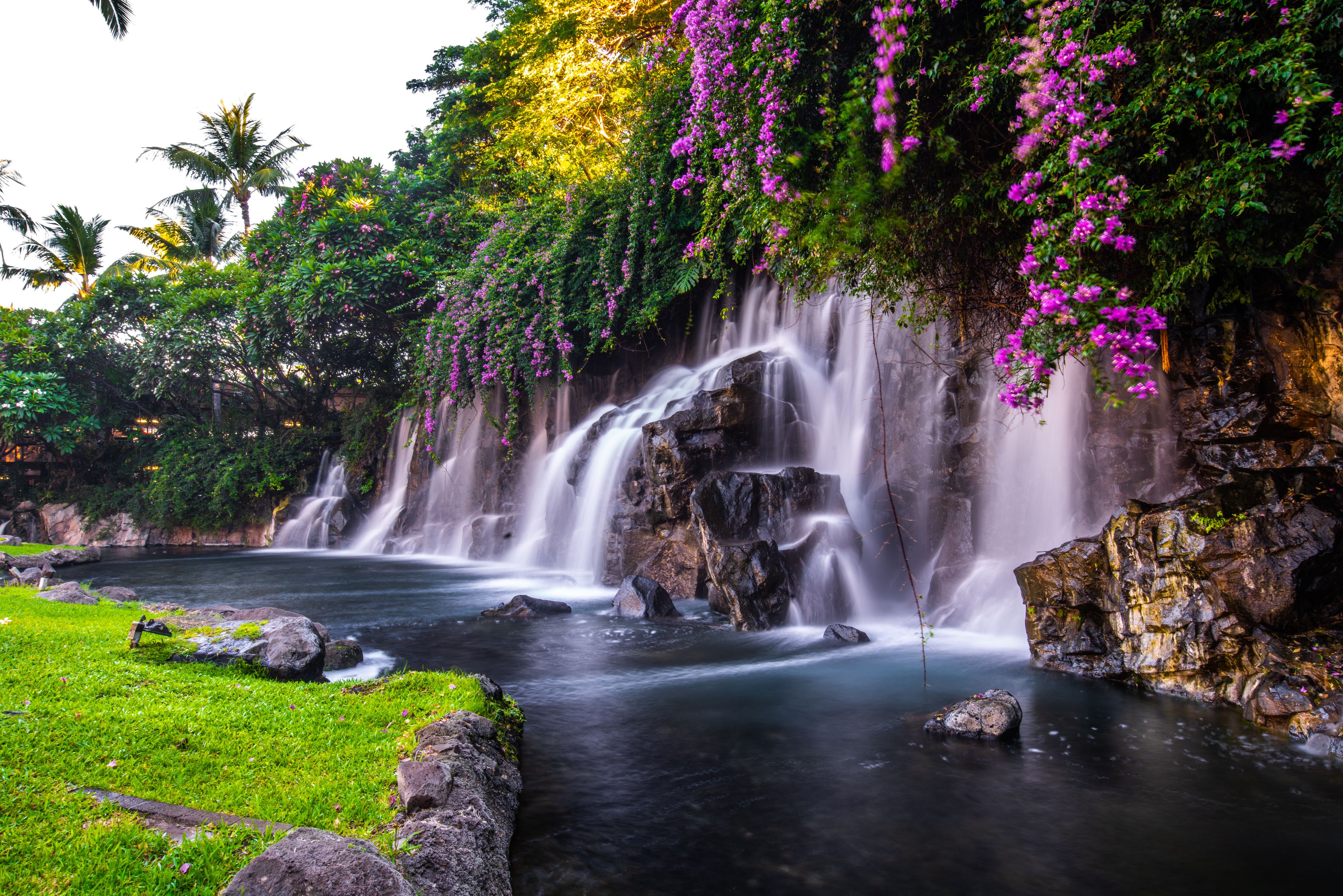 A waterfall cascading over rocks into a river, surrounded by lush greenery and flowering vines.