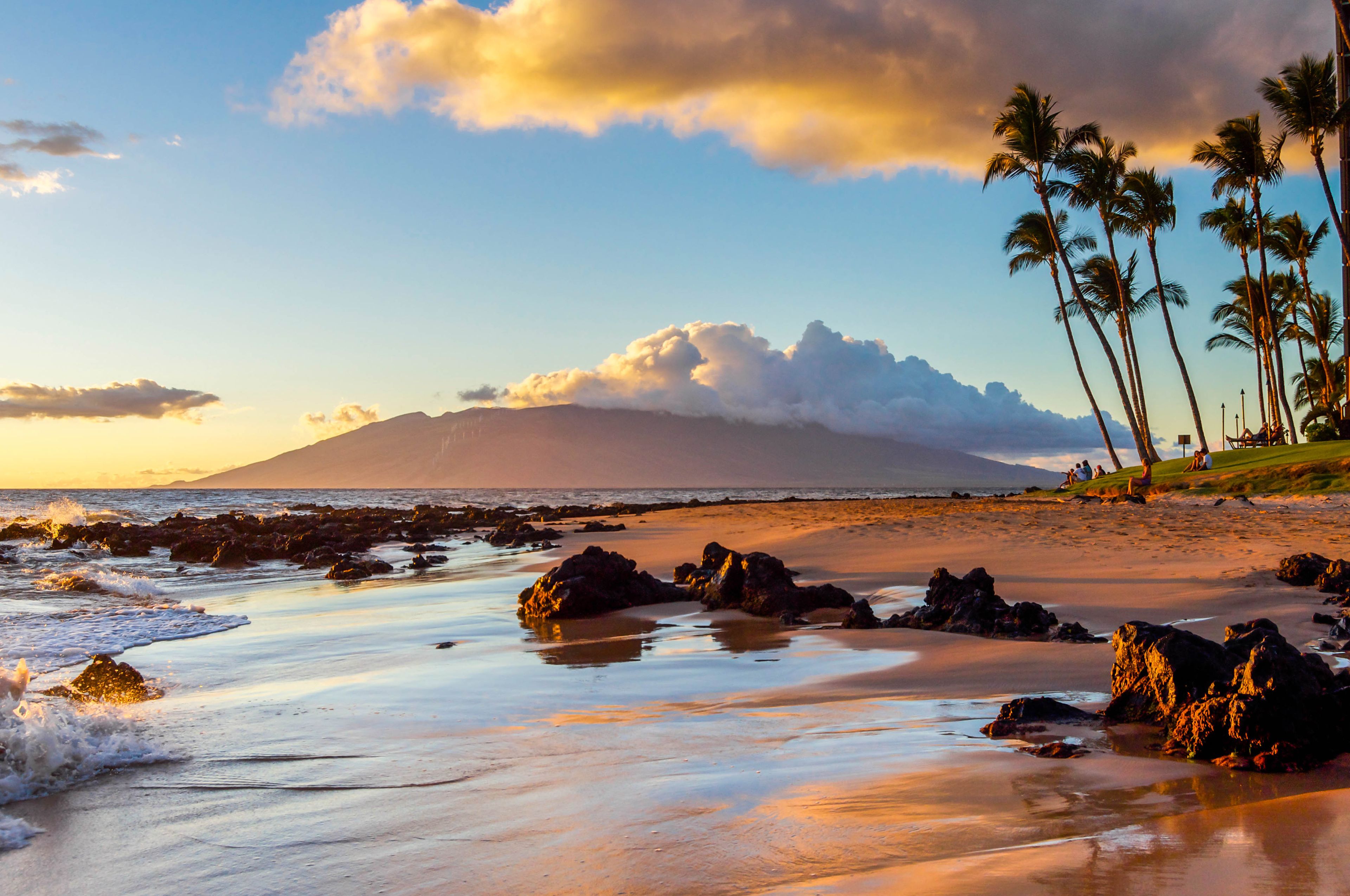 A beach with rocks, palm trees, and a mountain in the background.