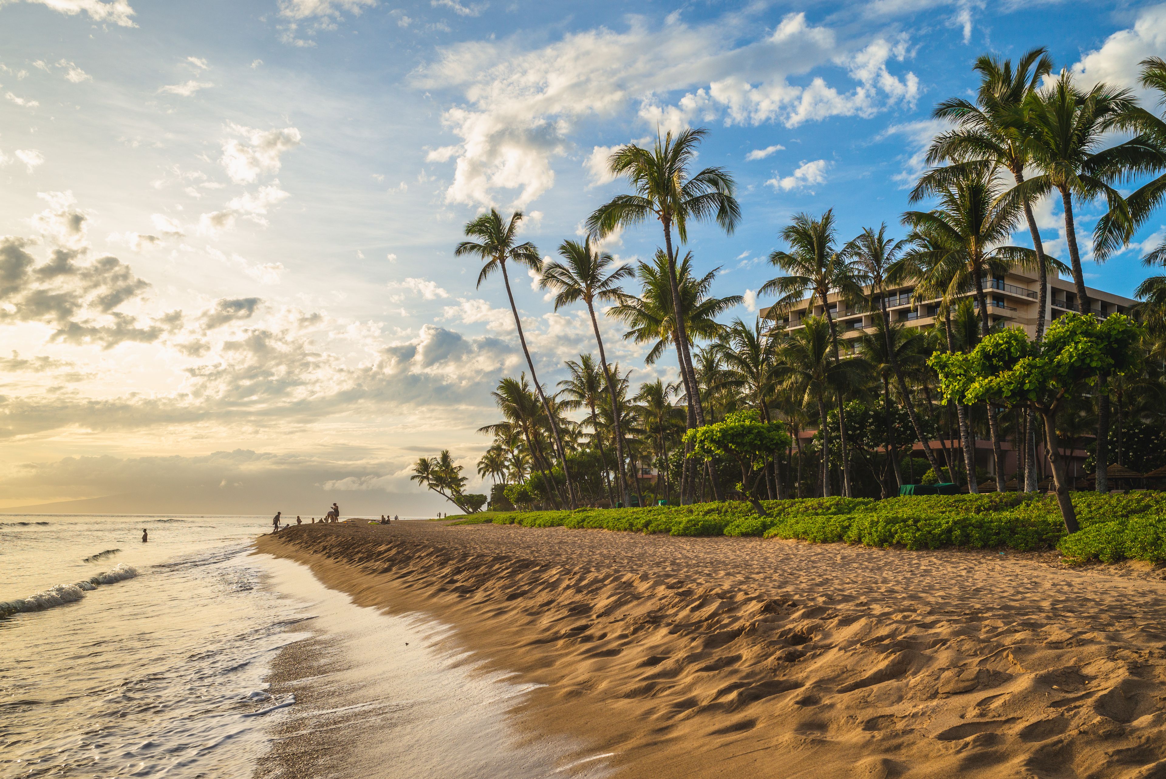 A beach with palm trees and a hotel in the background.