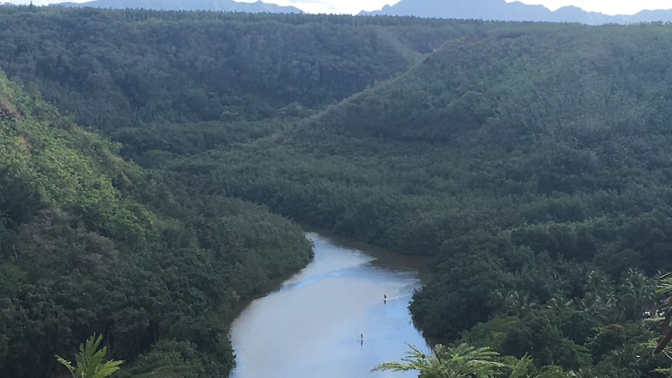 Paddle boarding or kayaking on the river is going to be something to remember!