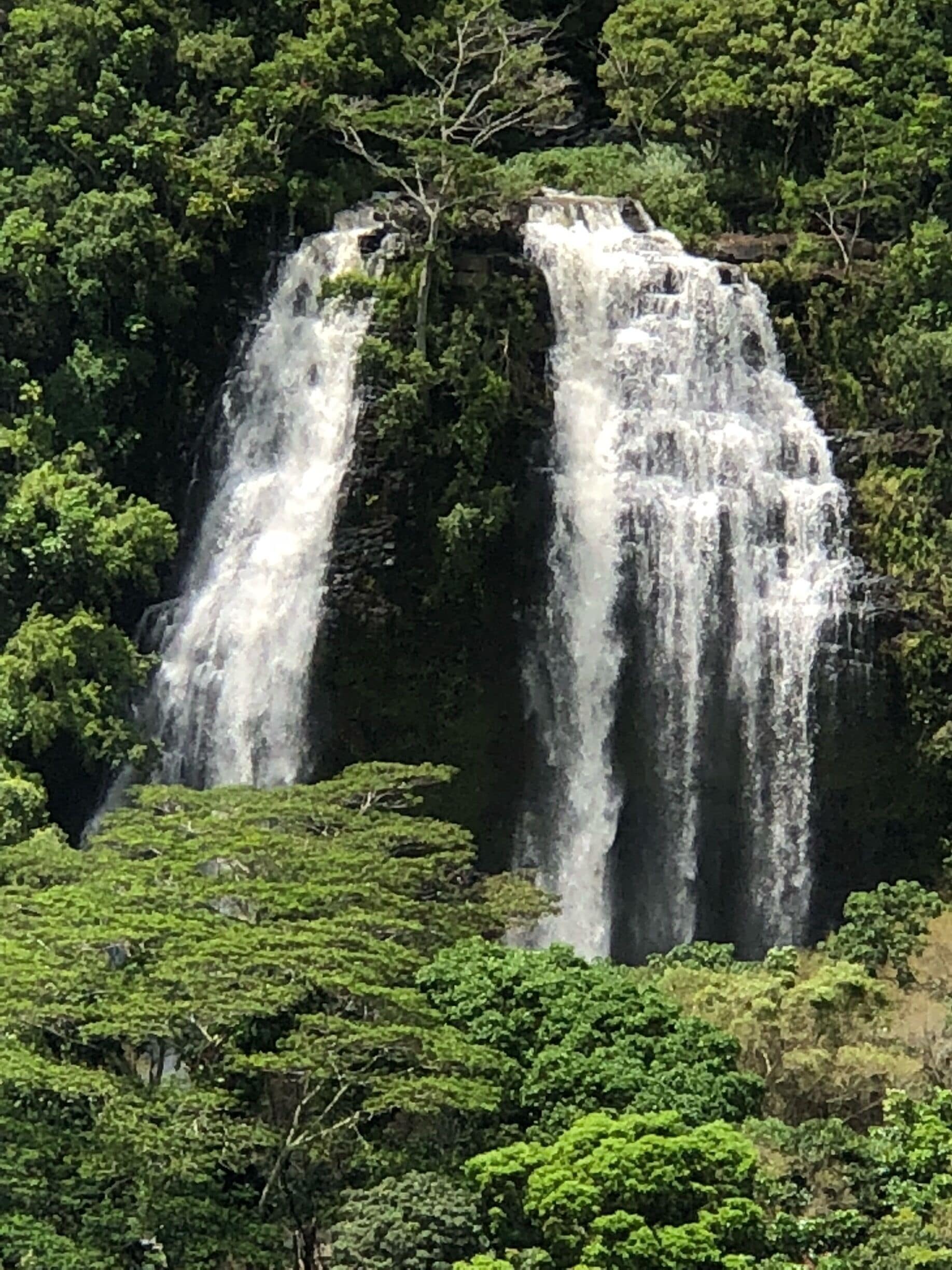 This is supposed to be the little waterfall on Kaua’i.  The rains certainly make it more of a show.