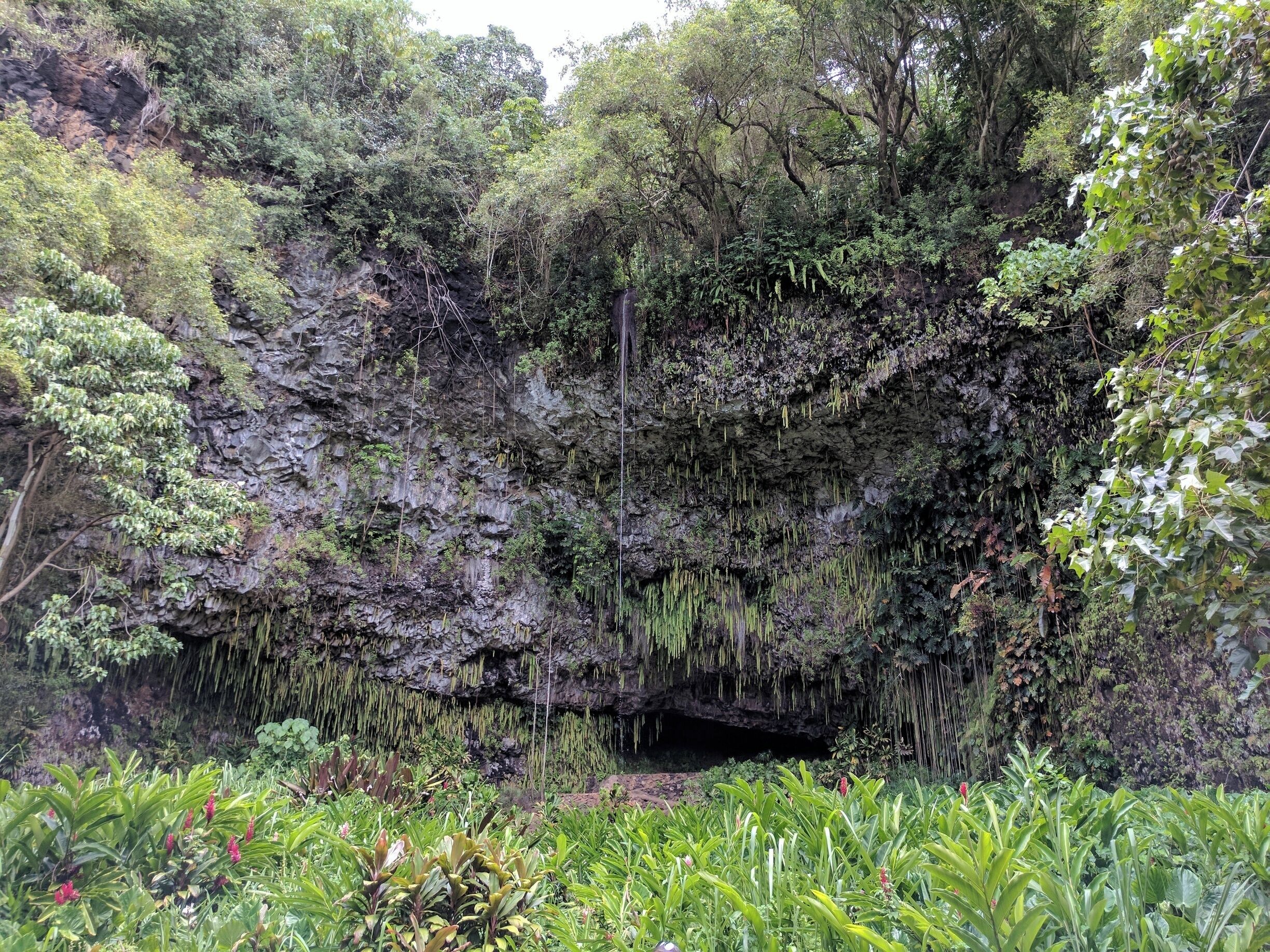 Unfortunately we cannot go in anymore due to the past hurricane damage 