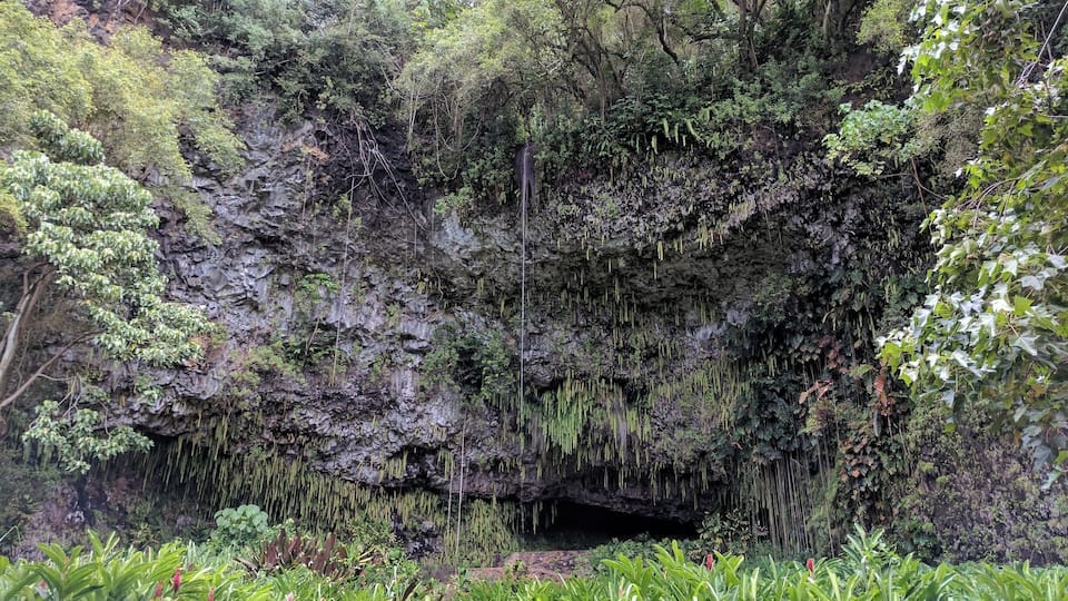 Unfortunately we cannot go in anymore due to the past hurricane damage