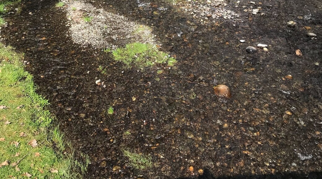 #green #river Trails to keep you busy along with a real “Flaming” geyser most of the year! #lifeatexpedia