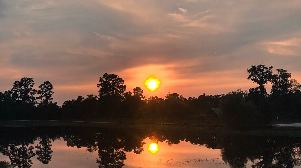 Sunsets are my favorite.