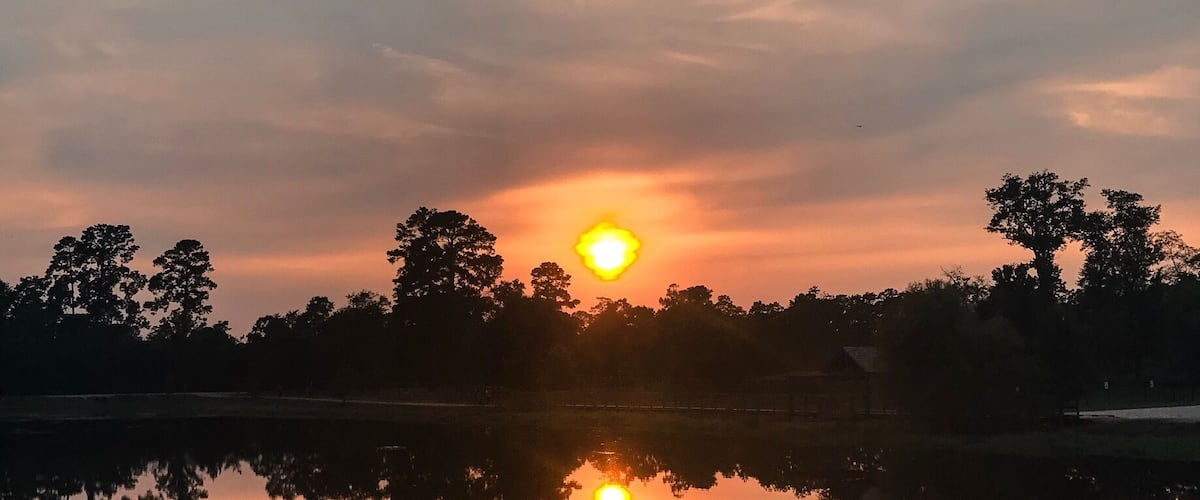 Sunsets are my favorite.