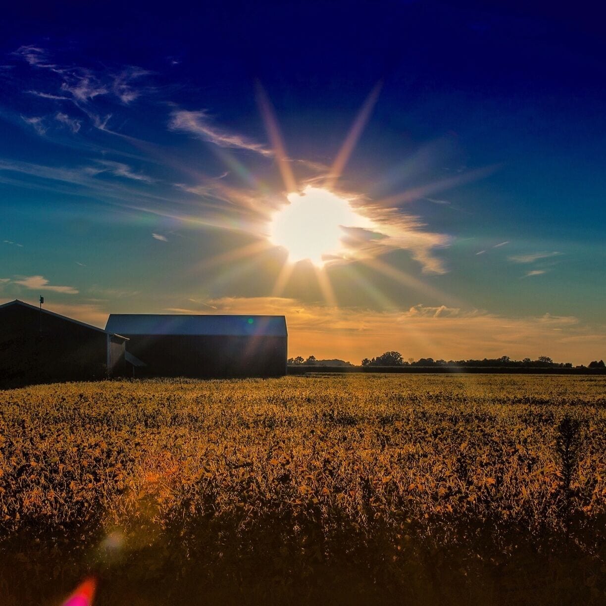 "Sunset over Napoleon"