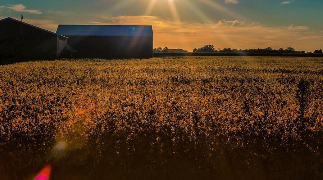 "Sunset over Napoleon"