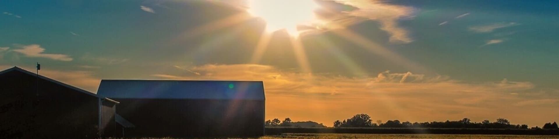 "Sunset over Napoleon"