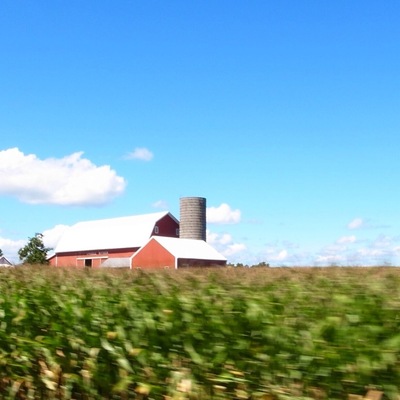 Lots of farms in this area. Beautiful farms.