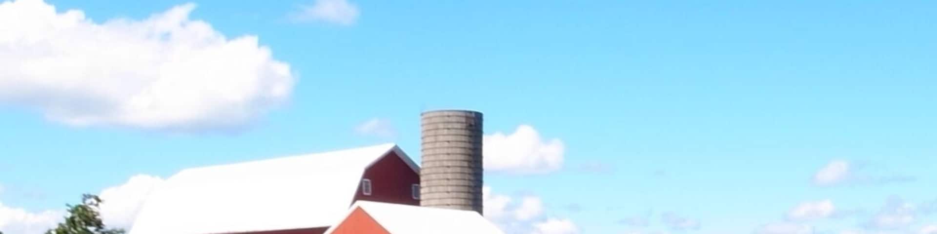 Lots of farms in this area. Beautiful farms.