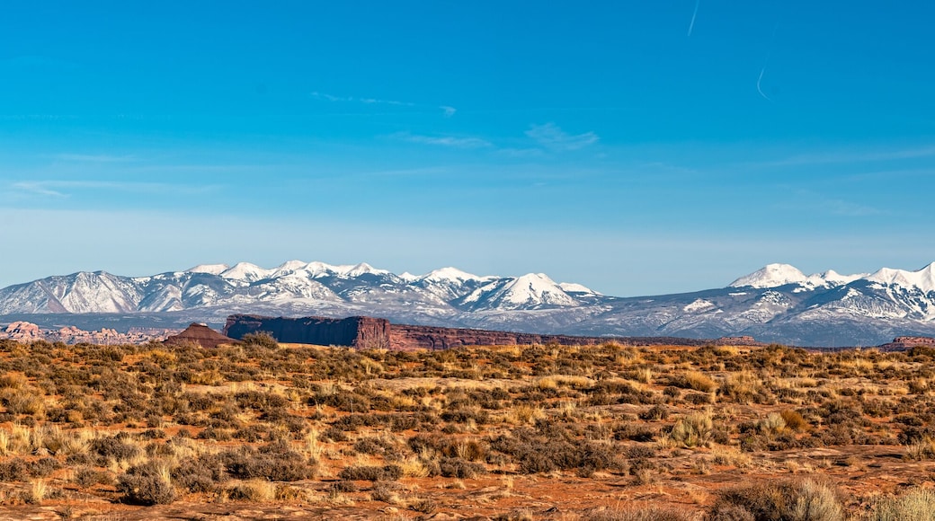 Big panorama of La Sal Mountains in Canyonlands National Park