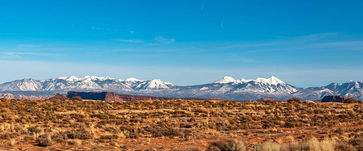 A desert landscape with sparse vegetation and snow-capped mountains in the background.