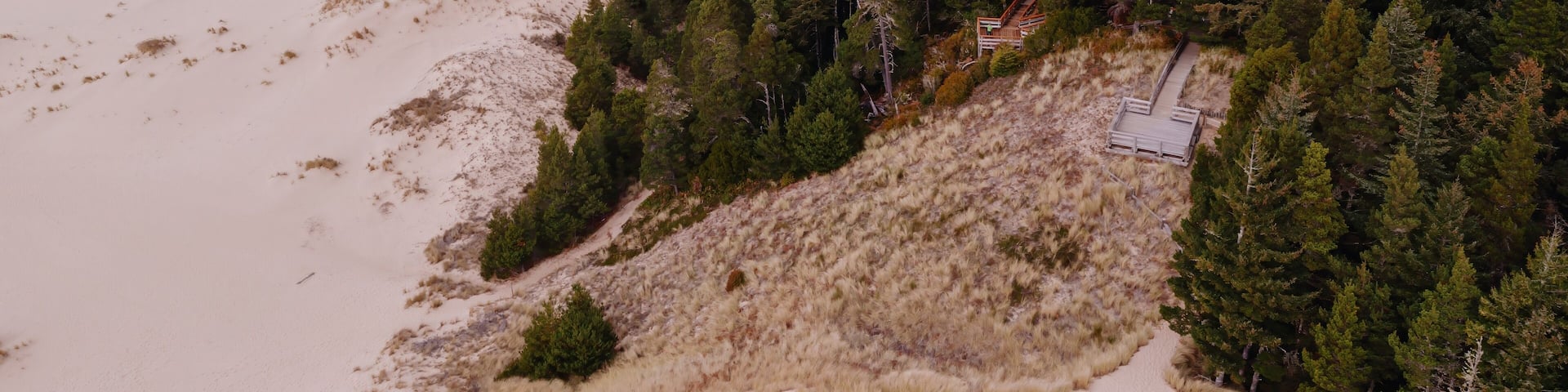 Coastal Oregon dunes, boardwalk trail through forest, overlooks the ocean. Oregon Dunes, Dunes City, Oregon, USA